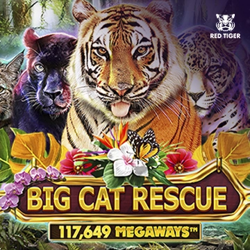 Redtiger : Big Cat Rescue Megaways - KINGBET189