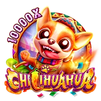 Facai : CHILIHUAHUA - KINGBET189