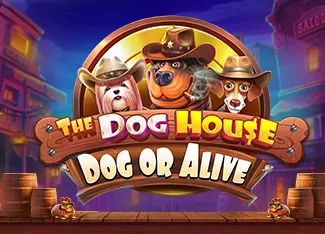 The Dog House - Dog or Alive - KINGBET189