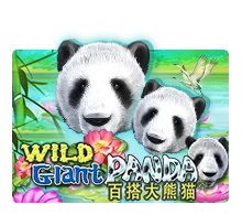 Joker123 : Wild Giant Panda - KINGBET189
