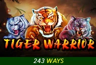 Spadegaming : Tiger Warrior - KINGBET189