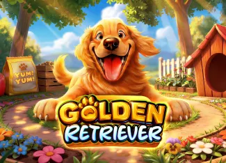 Golden Retriever - KINGBET189